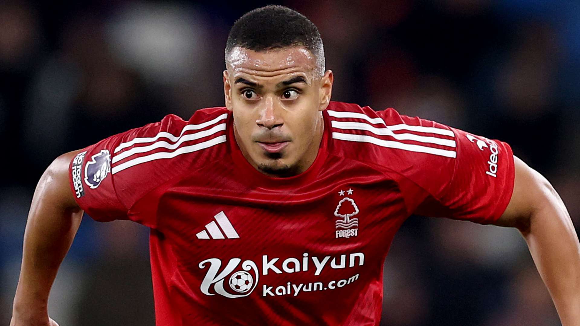 经验丰富的 经验丰富的