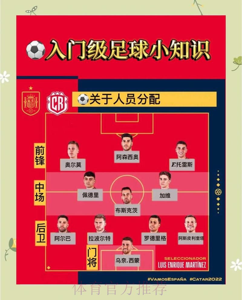 全面解析世界杯比分技巧全站诀窍